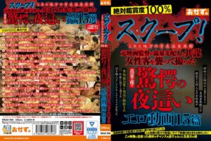 スクープ!とある地方の有名温泉旅館 元映画監督が温泉支配人と共謀 女性客を襲って撮った真夏の夜の驚愕の夜●いエロ動画15篇
