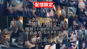 【配信限定Vol.02】<令和無秩序映像集>~密室内性交~ 閉鎖された空間で起こった卑猥事件・混沌事故