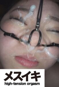 気持ちいい!美人懇願愛欲望 Part.3(ZZZM-1469)