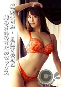 暴発不可避! 悶絶するほど焦らされる寸止めセックス