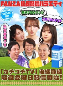 タイトル未定(元カチコチTV)