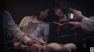 【模倣厳禁】街のカメラが捉えた!若い女子を狙った密室セックス